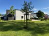 Familientraum am Waldrand: Modern saniertes Einfamilienhaus mit sehr großem Garten, PV & Sauna - Gartenansicht