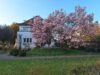 Fabrikantenvilla im Herzen von Fellbach – mit traumhaftem Gartenparadies und Teich - Hausansicht