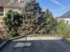 Drei-Familienhaus in Kernen - teilweise modernisiert - OG Terrasse